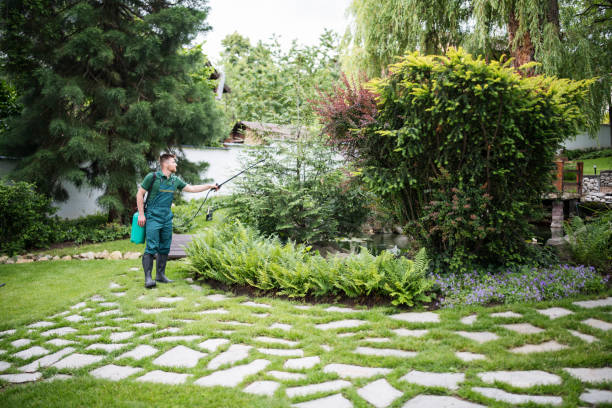 Best Pest Control Cost  in West Tawakoni, TX