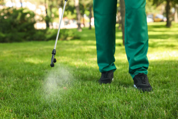 Best Pest Removal Services  in West Tawakoni, TX