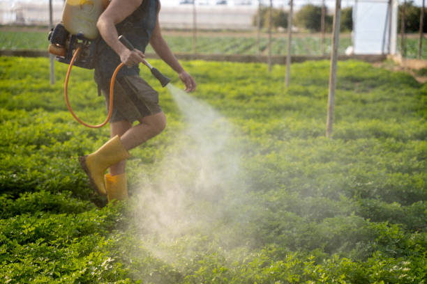 Best Pest Inspection Near Me  in West Tawakoni, TX