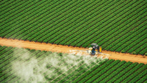 West Tawakoni, TX Pest Control Company