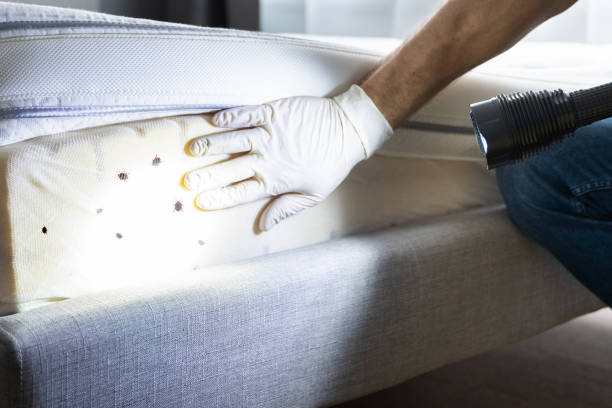 Best Pest Control Near Me in West Tawakoni, TX